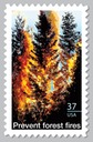 Prevent Forest Fires