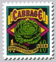 Cabbage