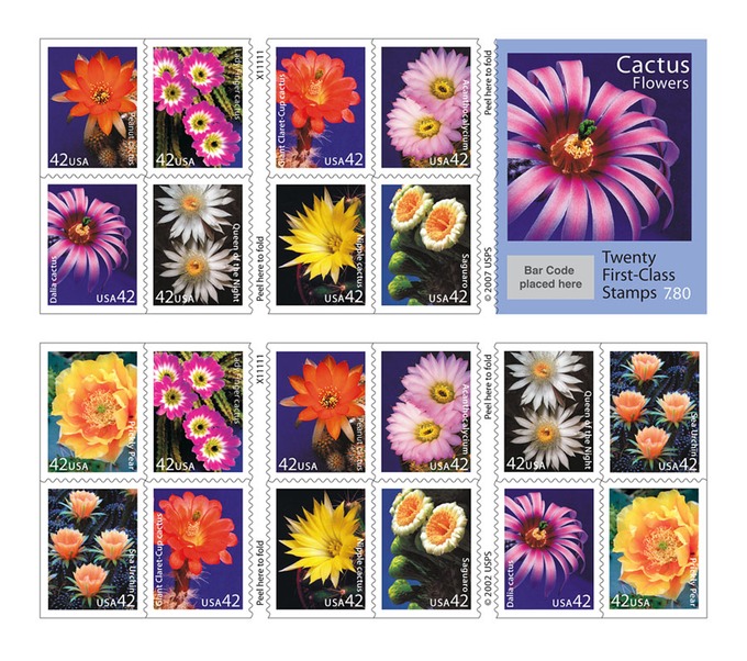 CactusFlowersBklt20-150