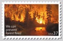 Prevent Forest Fires