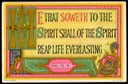 Bible Passage, Galatians VI: 8