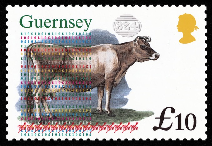 GuernseyEssay150