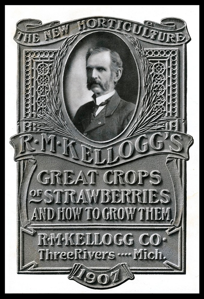 Kelloggs#2-150