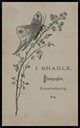 L. Shadle