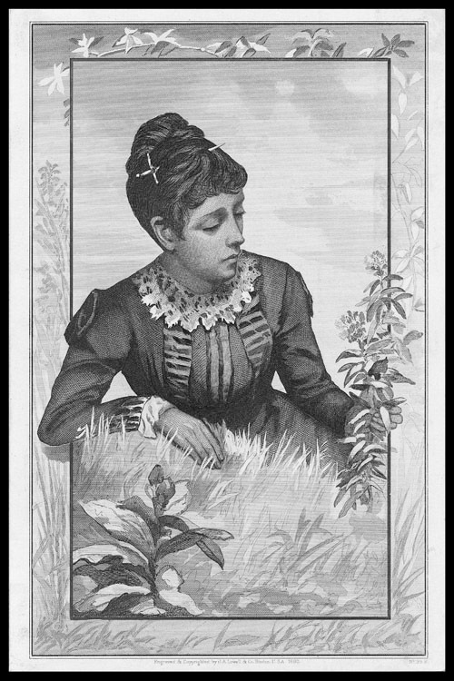 SoftEngrvLadyInGrass150