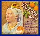 Victoria Brand