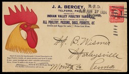 J. A. Bergey / Poultry, Pigeons, Dogs, Ferrets, Belgian Hares