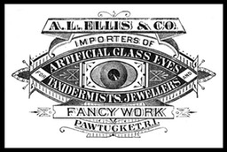 A. L. Ellis & Company / Glass Eyes
