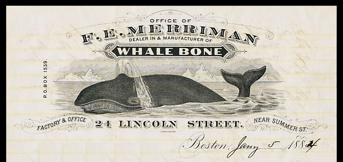 MerrimanWhaleAdCvr150