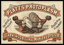 Platt's Protoplasm