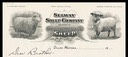 Selway Sheep Company