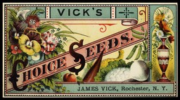 Vick's Seeds