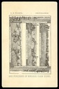 G. M. Walker / Bonanza Farm Views