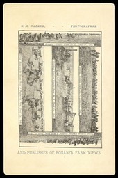G. M. Walker / Bonanza Farm Views