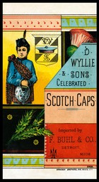 D. Wyllie & Sons